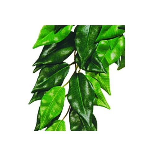Ficus S Plastväxt Exoterra