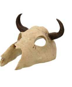 Rp Small Buffalo Skull 12,5X11,8X8Cm
