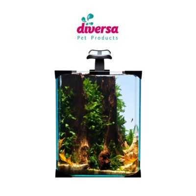 NANO LED Diversa, 10 Liter