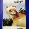 YOUR FIRST FERRET Colin Jeal