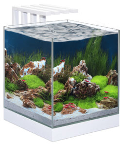 Akvarium Nano, Nexus Pure 25 LED, 22 liter