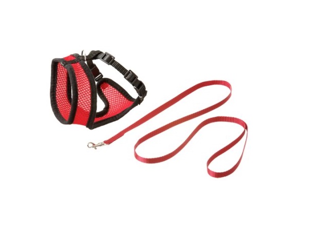 Kattesele Nett m/ Koppel Kattunge Rød/Svart 10mmx120cm