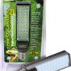 Forest Canopy Tropical Plant Led 6500K 8W
