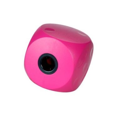 Buster Food Cube, Cherry