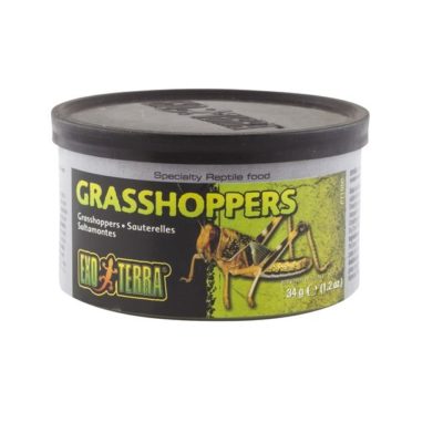 GRASSHOPPERS ExoTerra, Hermetisk, 34g.