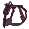 Non-Stop Ramble Harness, Purple, XS, 29-36cm