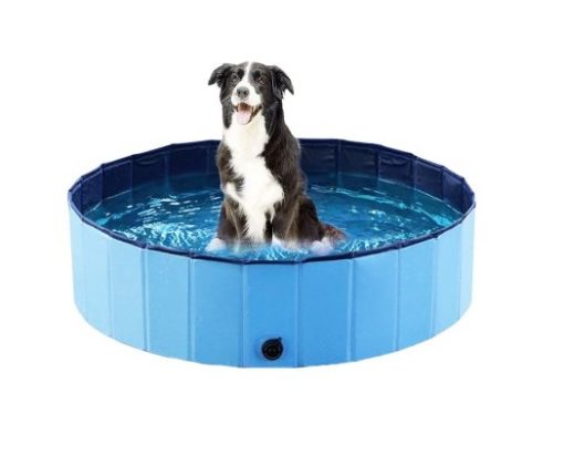 Dog Pool 160X30Cm Ozami