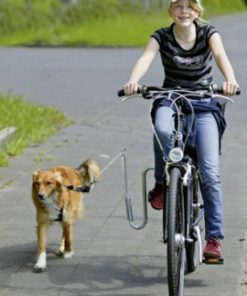 Doggy Guide Bicycleleading Device