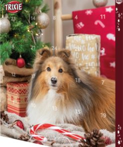 JULEKALENDER Premio, Til Hund, 24.5×37×3.5cm.
