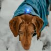 gallery-7-for-5710482001024