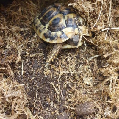 gallery-18-for-100594