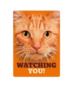 SKILT 'Watching you!', Orange, Metall, 21x14,8cm.