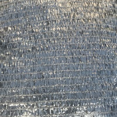 gallery-231-for-101581