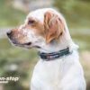 gallery-249-for-7071652034845
