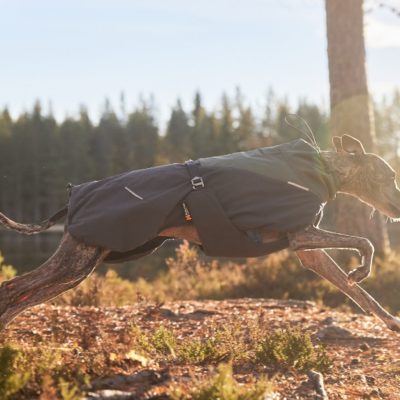 gallery-2616-for-7071652325110