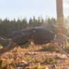 gallery-2625-for-7071652325219