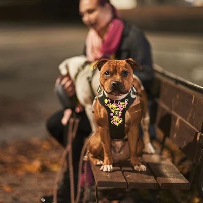 gallery-2751-for-6410329341908