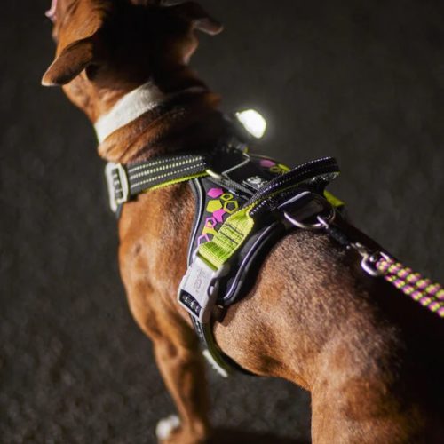 gallery-2752-for-6410329341908