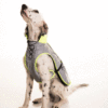 gallery-2948-for-7090018192593