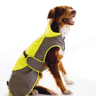 gallery-2965-for-7090018192685