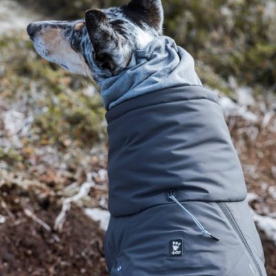 gallery-2974-for-6410329338496