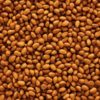 gallery-3262-for-5410340221136