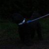 gallery-3268-for-5033190022847