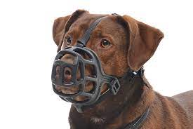 Kruuse Dog Muzzles, Munnkurv, Str. 6