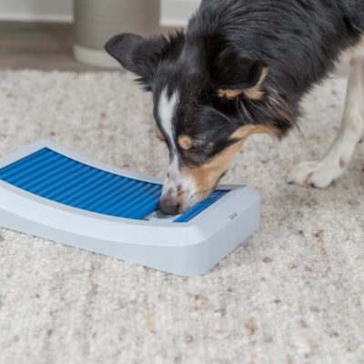 gallery-4363-for-4047974320518