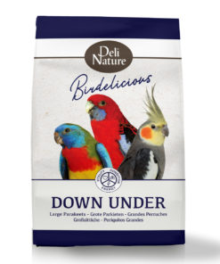 DN 'Down Under', Australian Large Parakeets