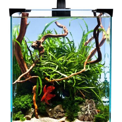 gallery-8466-for-5908222166724