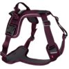 Non-Stop Ramble Harness, Purple, XL