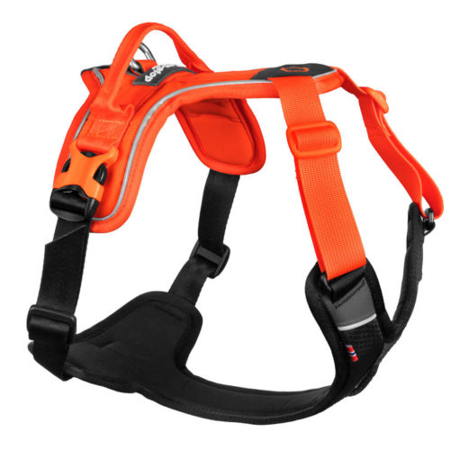 Non-Stop Ramble Harness, Orange/Black, Xl