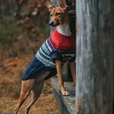 gallery-8582-for-101004