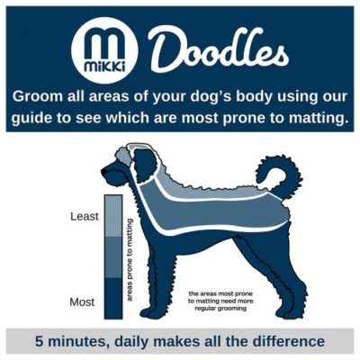 gallery-8590-for-755349374045