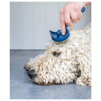 gallery-8593-for-755349374045