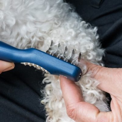 gallery-8604-for-755349374038