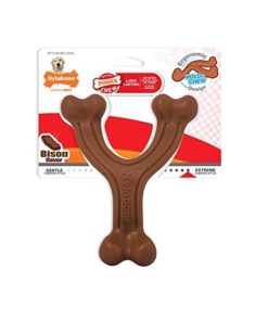 NYLABONE Extreme chew Wishbone, S