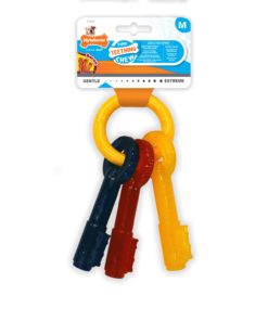 NYLABONE PUPPY Teething Keys M