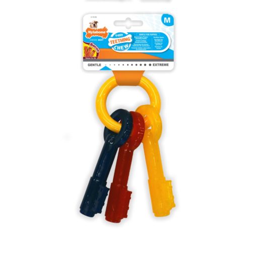 NYLABONE PUPPY Teething Keys M