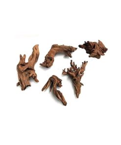 MANGROVEROT Mini, 10-15cm.