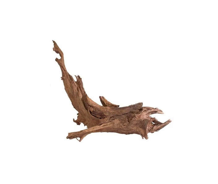 MANGROVEROT Small, 15-25cm.