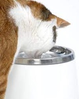 gallery-9664-for-022517500231