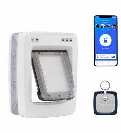 gallery-9669-for-729849172524