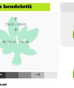 gallery-9686-for-8715897015939