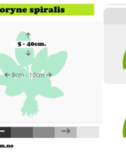 gallery-9690-for-101093