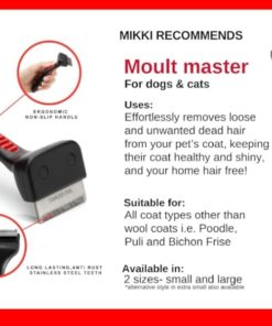 gallery-9699-for-755349273454