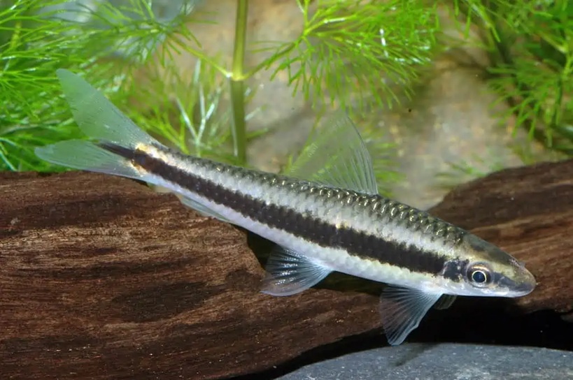 gallery-9712-for-100059