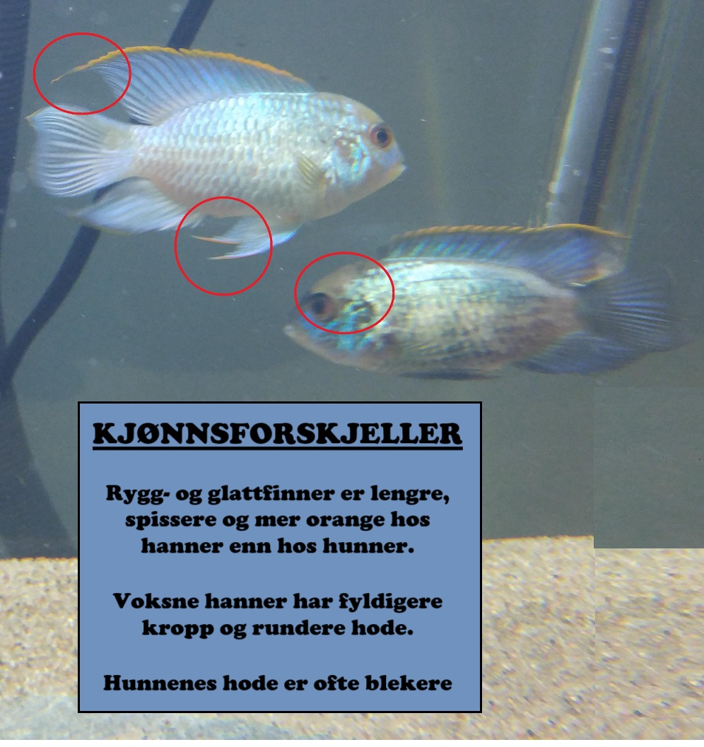 gallery-9724-for-100112