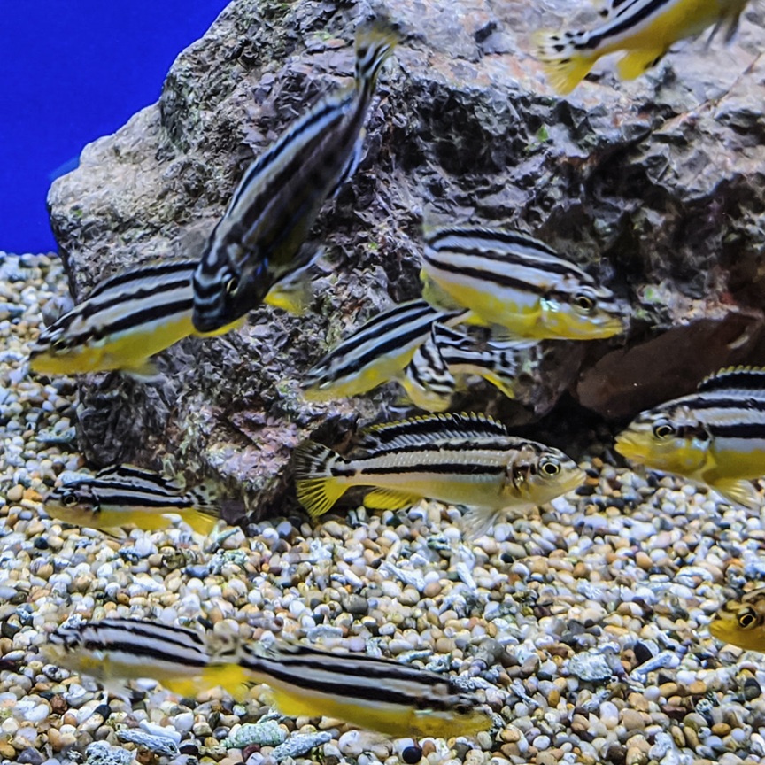 gallery-9729-for-101840